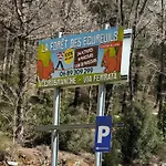 Les Hirondelles Maison 6 - 4 Pers Calviac-en-Perigord
